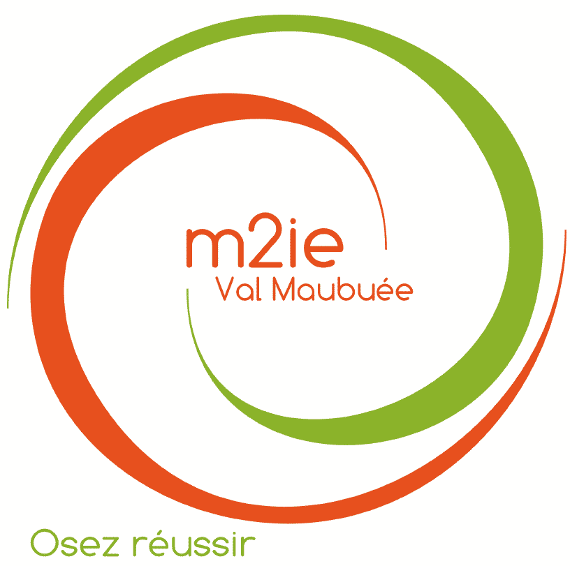 Logo m2ie